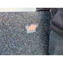 IMG_20221109_090424 (Benutzerdefiniert)